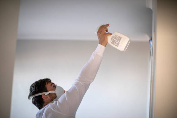 Best Mold Remediation  in Robins, IA