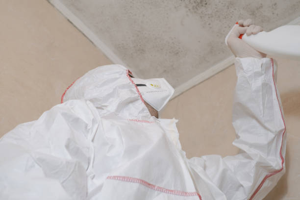 Water Damage Restoration in Robins, IA