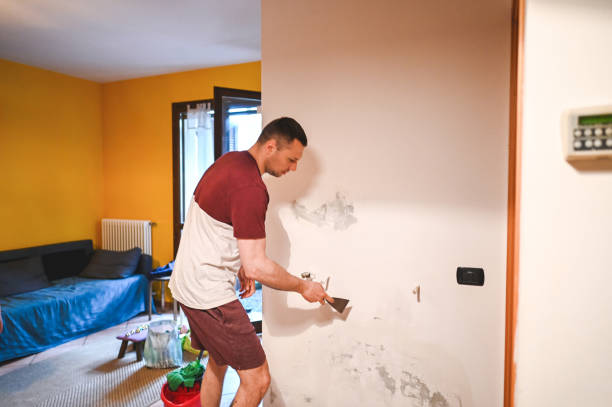 Best Water Damage Restoration  in Robins, IA
